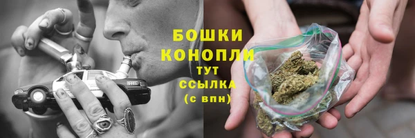 гидропоника Белокуриха
