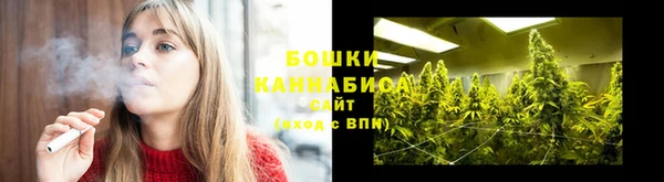 гидропоника Белокуриха