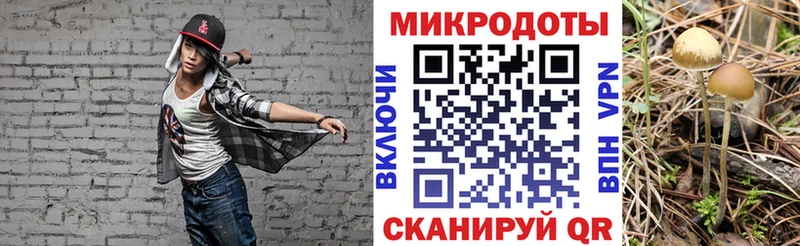 Галлюциногенные грибы GOLDEN TEACHER даркнет клад Светлогорск
